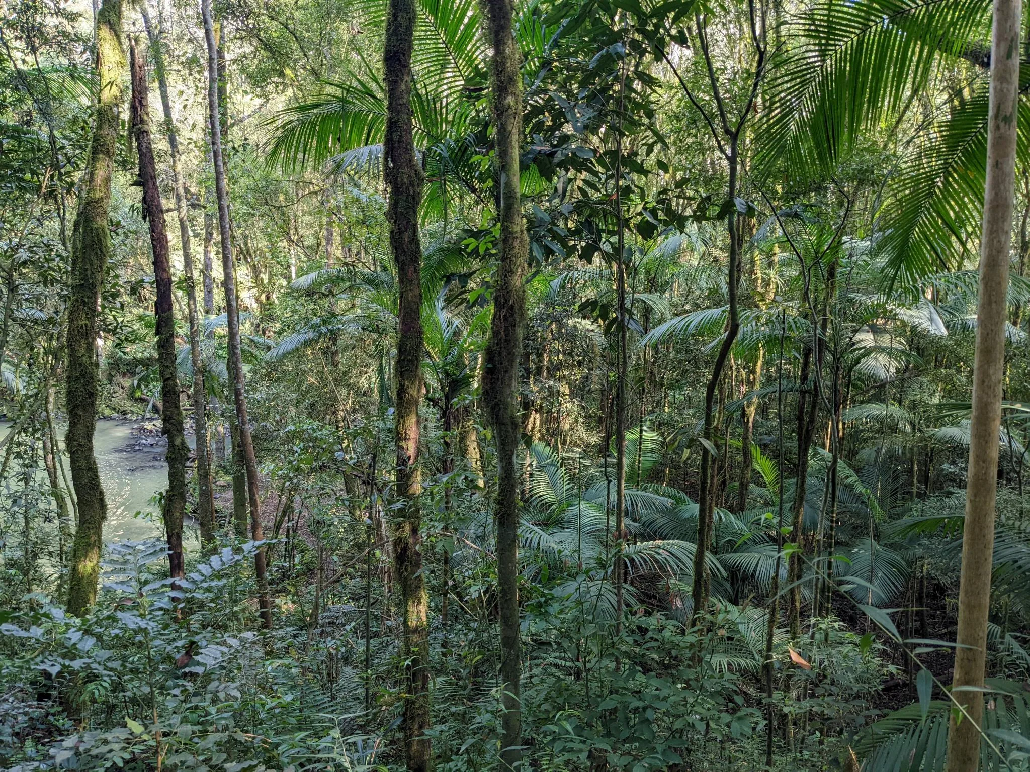 Paisagem da RPPN Serra do Pitoco