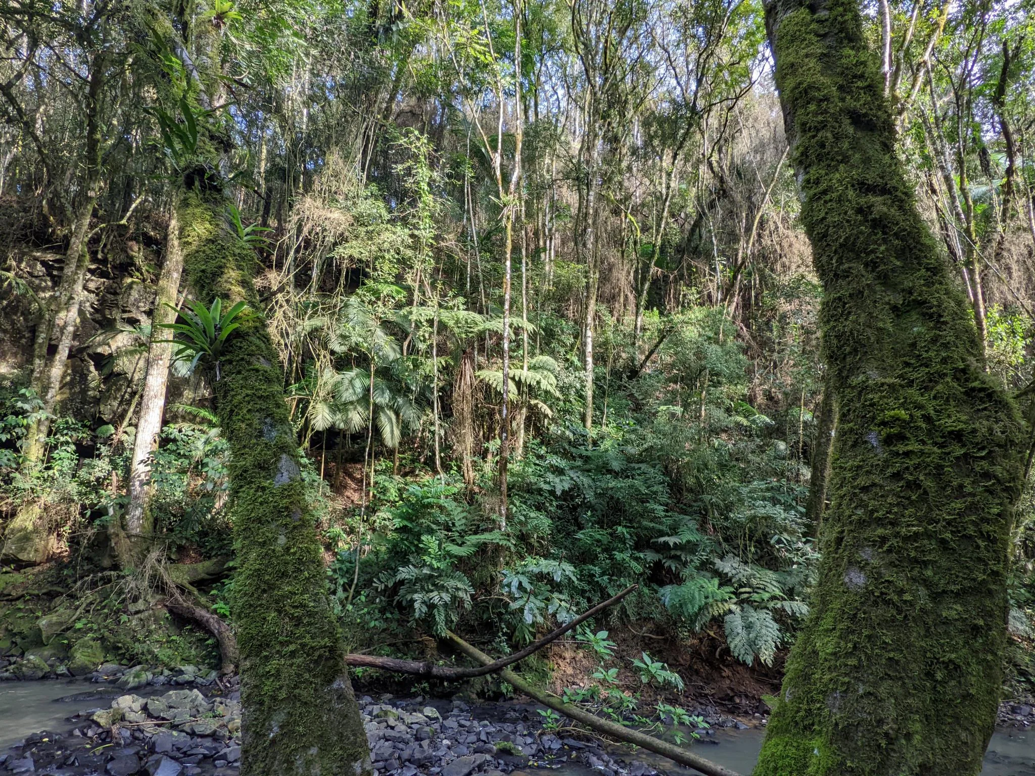Paisagem da RPPN Serra do Pitoco