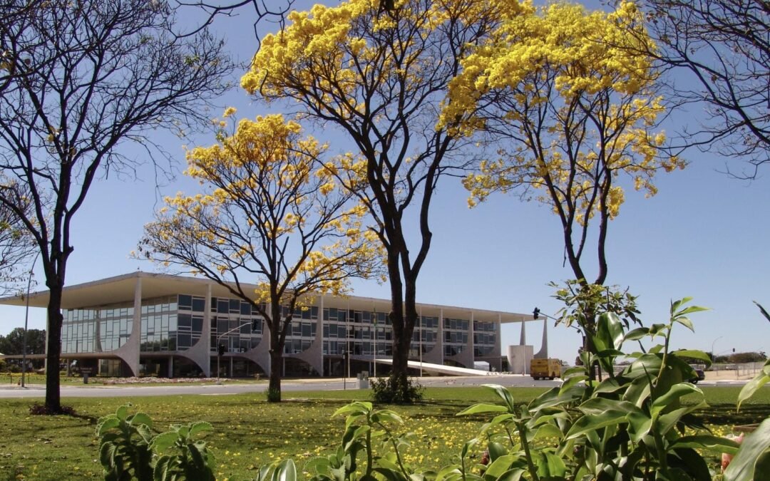 Nota de repúdio da Apremavi ante os ataques terroristas aos poderes da República Brasileira