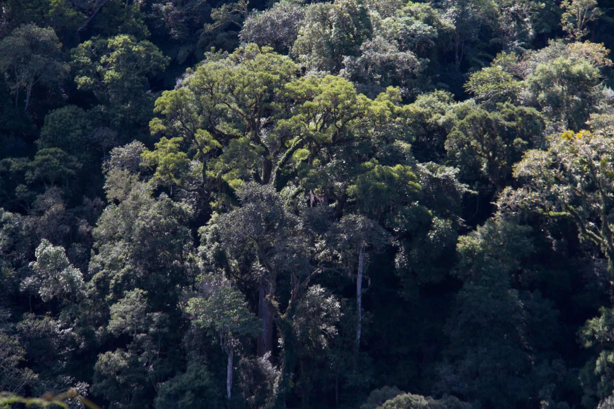 RPPN Serra do Lucindo