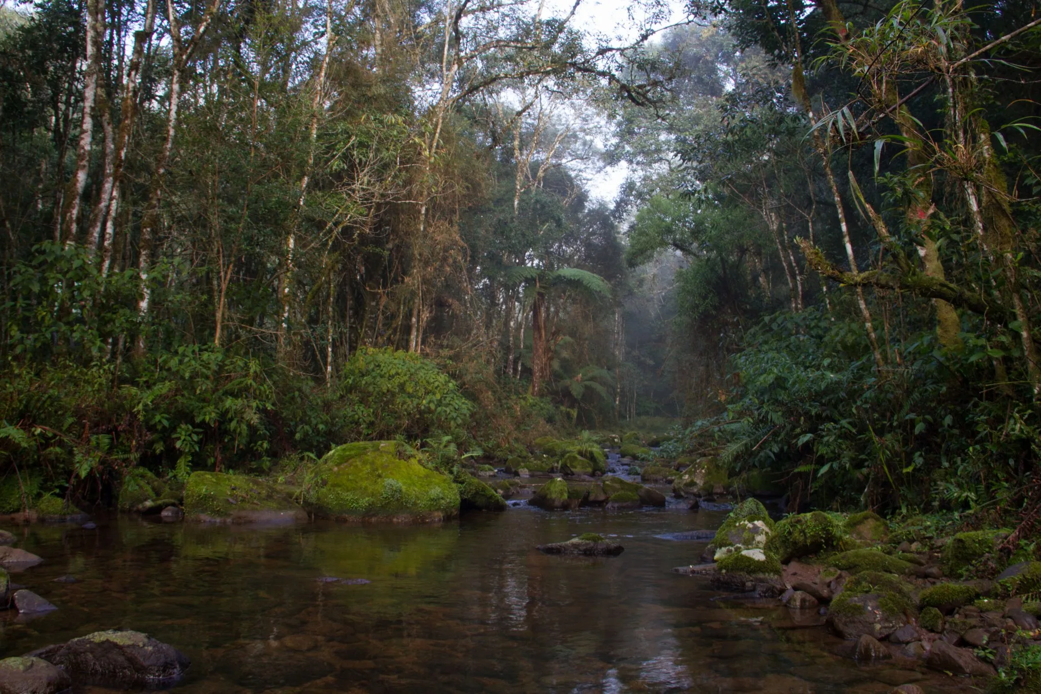 RPPN Serra do Lucindo