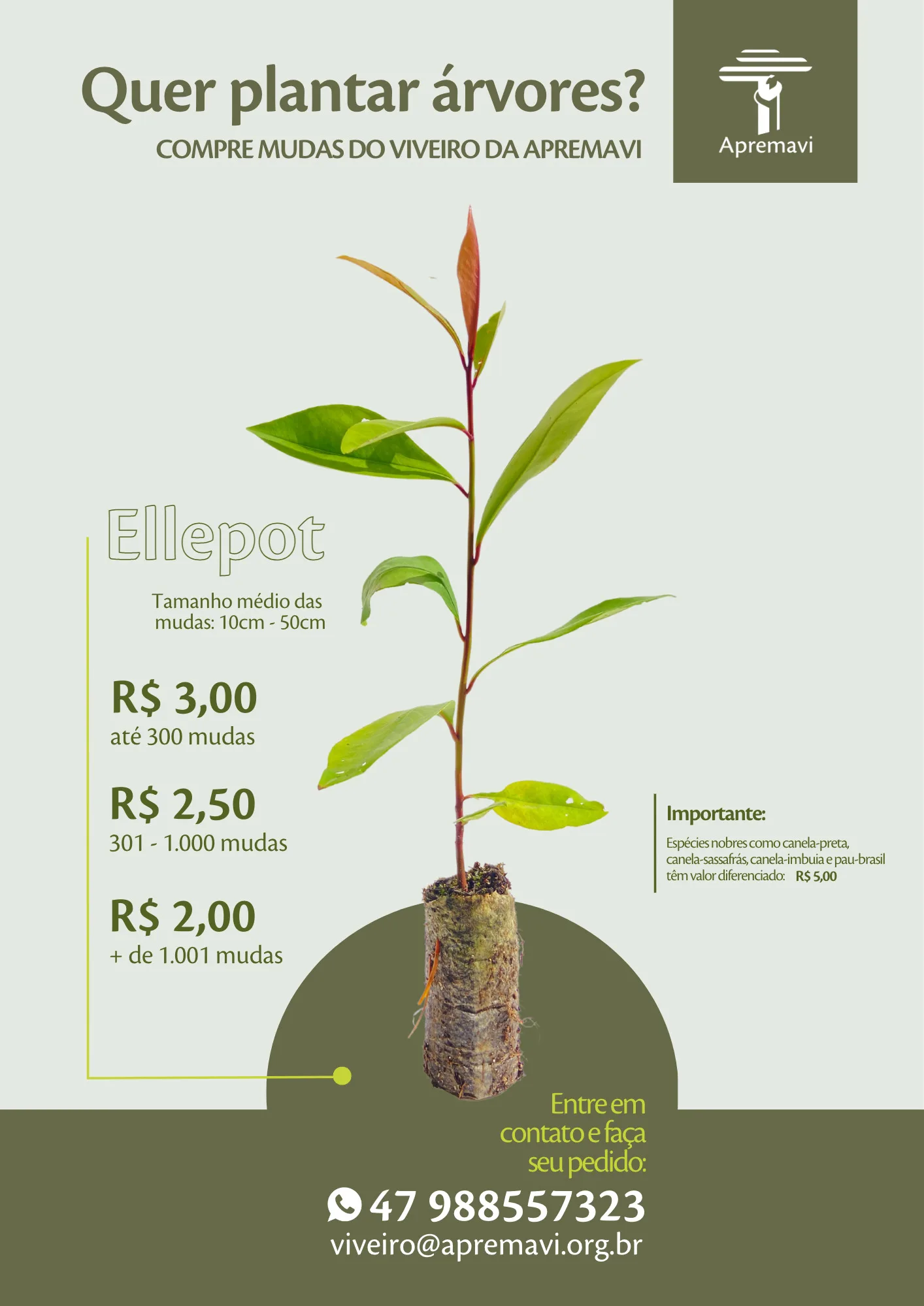 TIPO DE EMBALAGEM Preço das mudas do Viveiro da Apremavi.