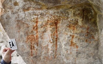 Pintura rupestre inédita de araucária é descoberta no Paraná