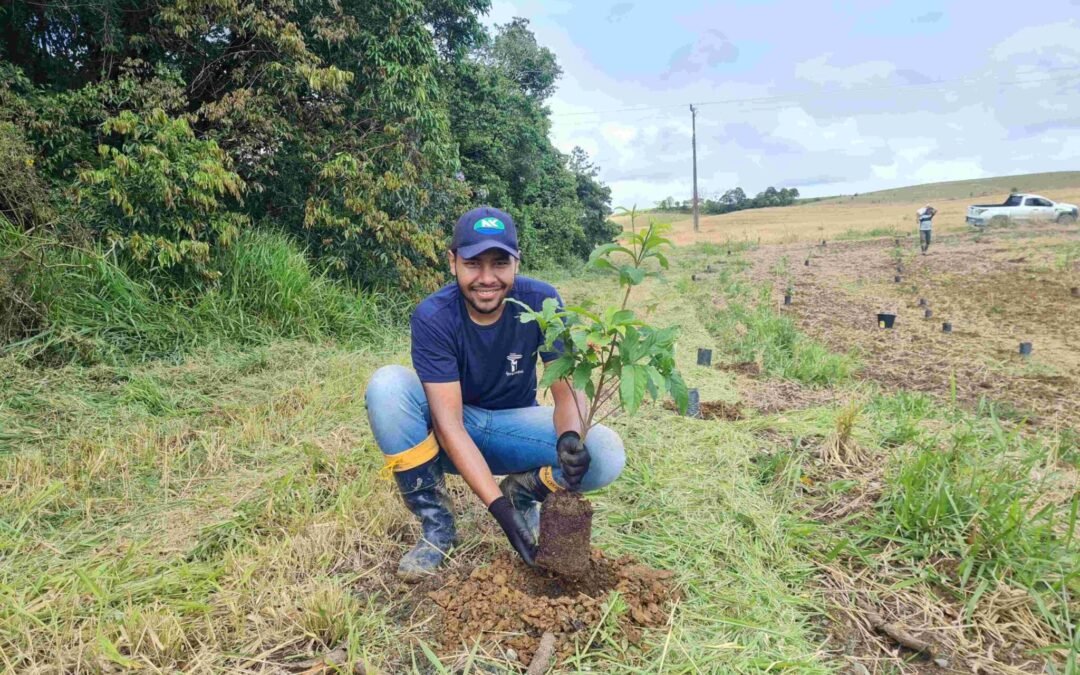 Fique legal com o Clima: plante árvores com o Clima Legal