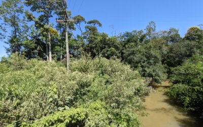 Dia da Água relembra a urgência de recuperar as APPs・Código Florestal na Prática