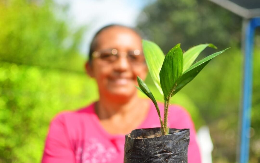 Lançamento: vozes femininas pela recuperação econômica verde