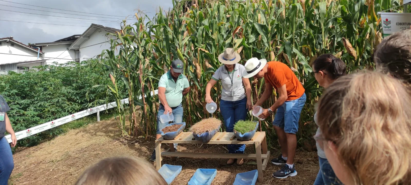 Dia de campo Epagri