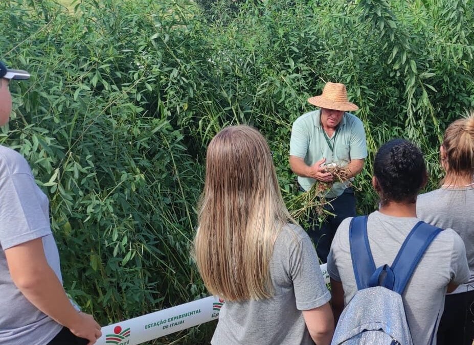 Apremavi participa de diálogo sobre sustentabilidade da agricultura