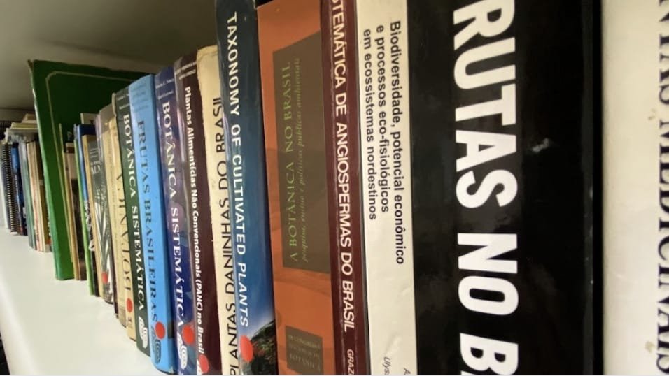 Leituras para (começar a) conhecer a Mata Atlântica