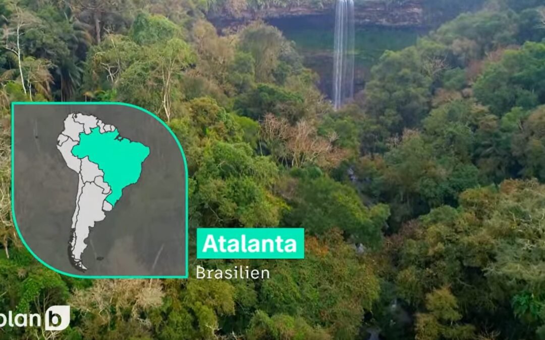 Apremavi estrela documentário lançado pela TV alemã