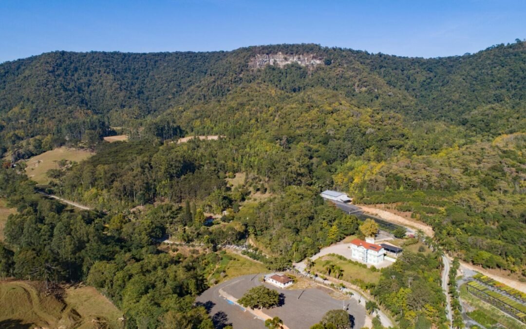 Apremavi divulga Relatório de Atividades de 2022