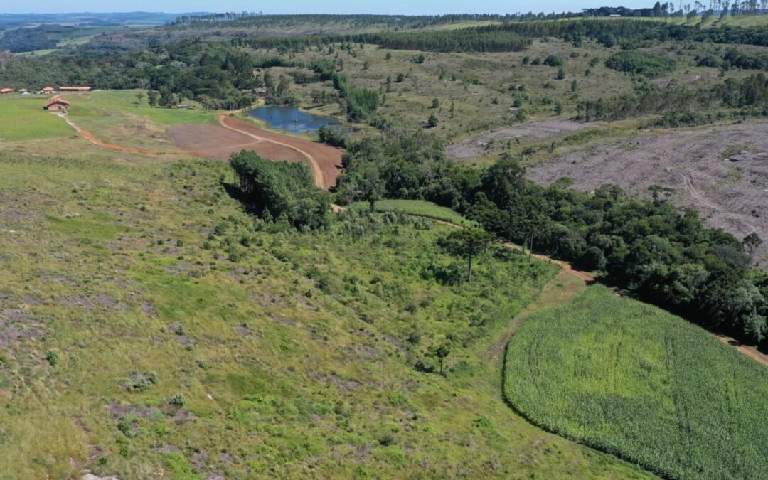 Pesquisa da Apremavi aponta lacunas na adesão ao Programa de Regularização Ambiental (PRA)