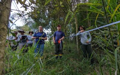 Apremavi avalia guia de monitoramento de áreas restauradas em propriedades no Paraná