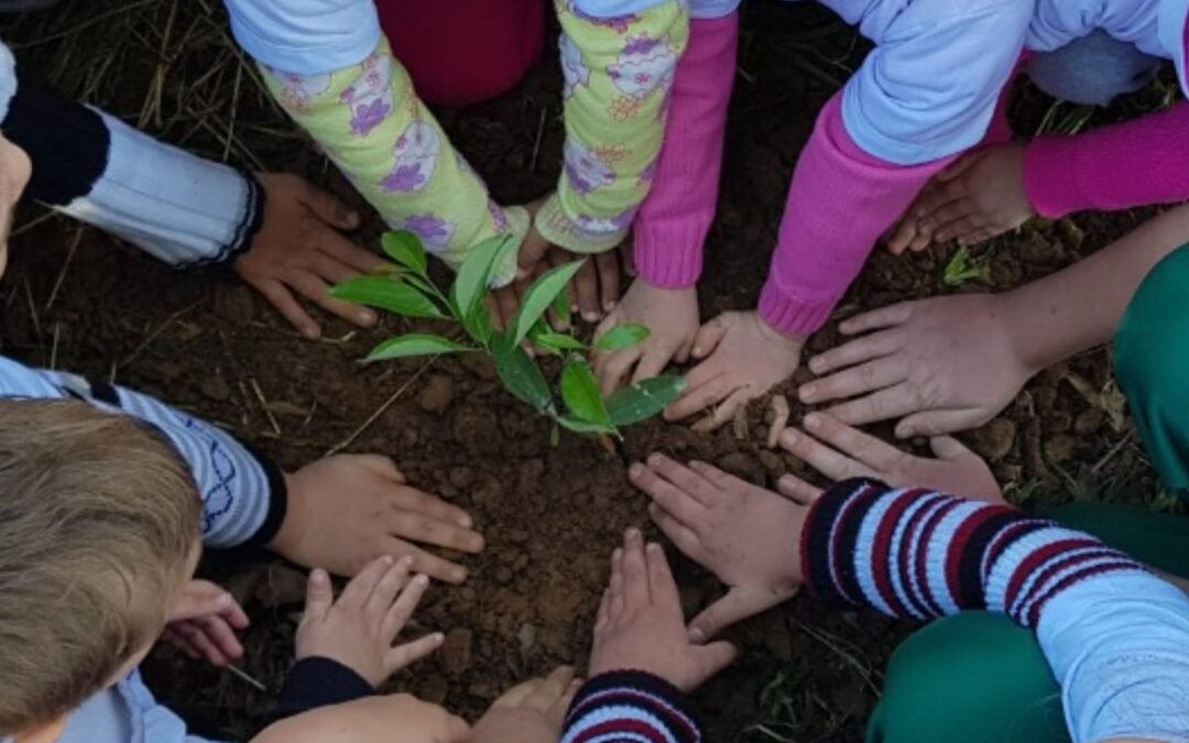 Reflexões e inspirações para dar sentido ao Dia Mundial do Meio Ambiente