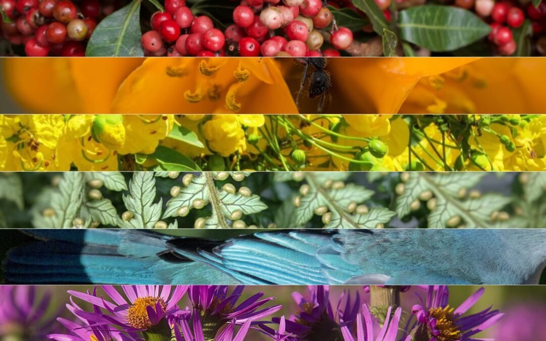 Direito à diversidade: uma luta de todos e para todos