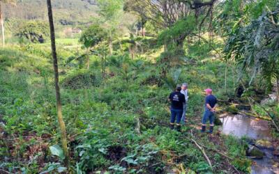 Com apoio da Apremavi, município de Salete é pioneiro na implementação do Código Florestal