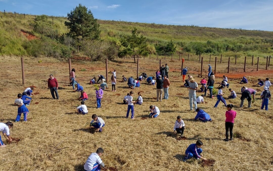 Semana do Meio Ambiente é marcada por diversas ações na Apremavi