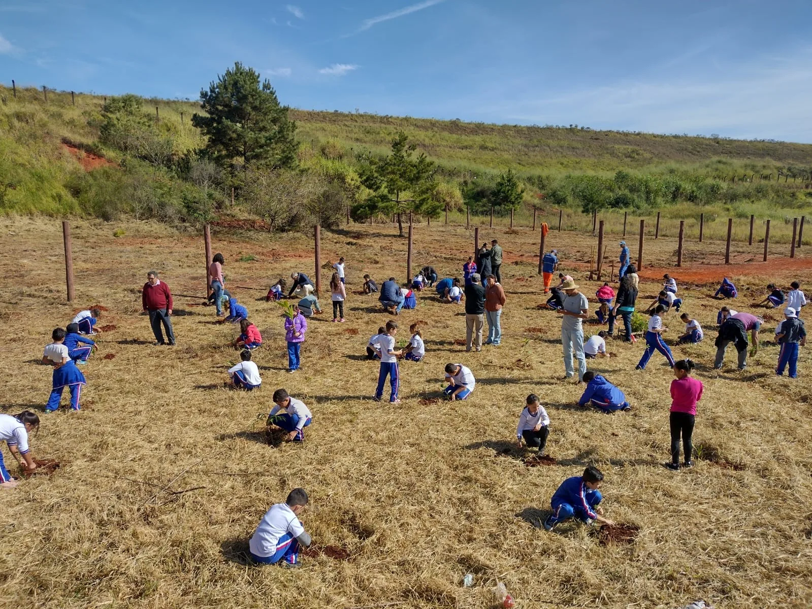 Plantio de mudas em área de APP urbana junto aos alunos da Escola Municipal Gonçalves Lêdo pelo projeto Matas Sociais. Plantio de mudas em área de APP urbana junto aos alunos da Escola Municipal Gonçalves Lêdo pelo projeto Matas Sociais. Foto: William Villar de Castro Ribas