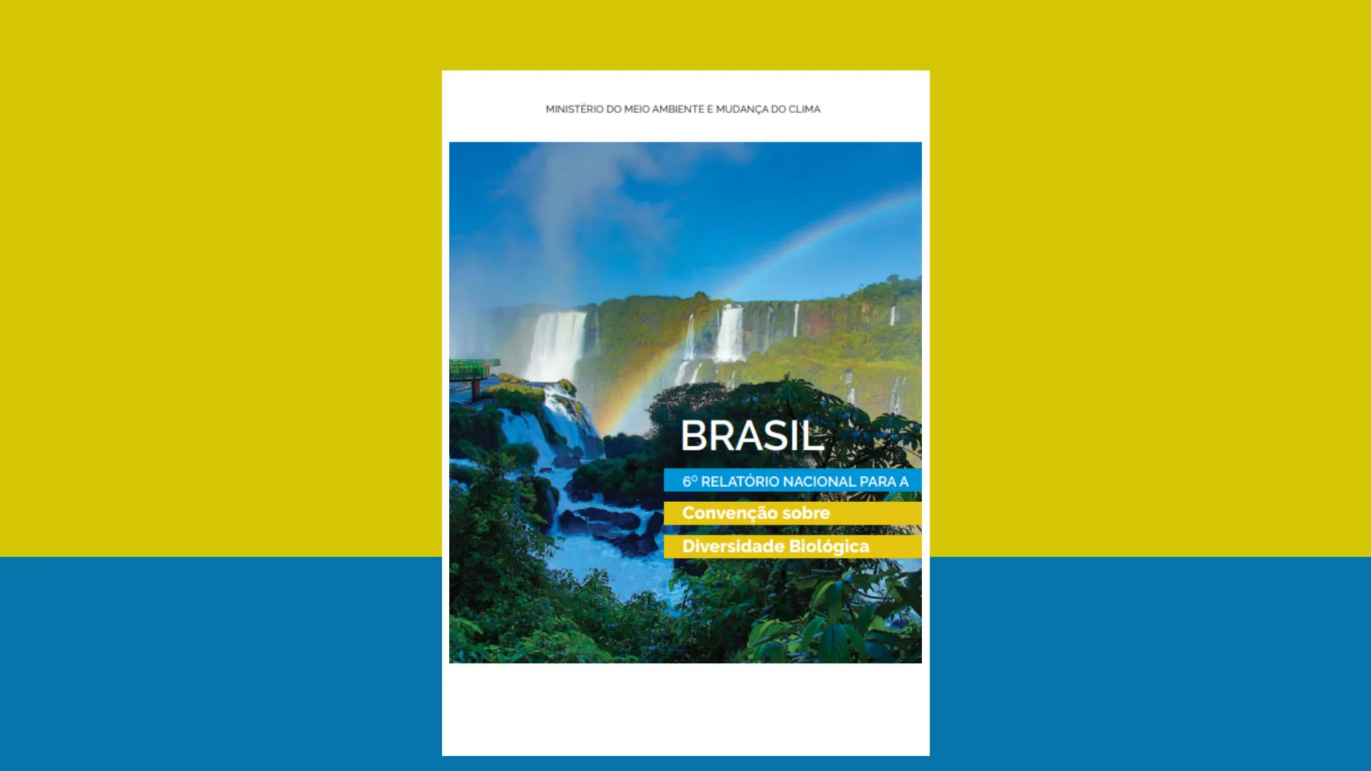 6º Relatório Nacional para a Convenção sobre Diversidade Biológica (CDB) 6º Relatório Nacional para a Convenção sobre Diversidade Biológica (CDB)