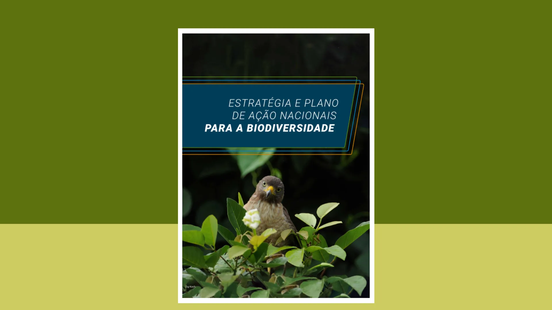 Estratégia e Plano de Ação Nacionais para a Biodiversidade – EPANB Estratégia e Plano de Ação Nacionais para a Biodiversidade – EPANB