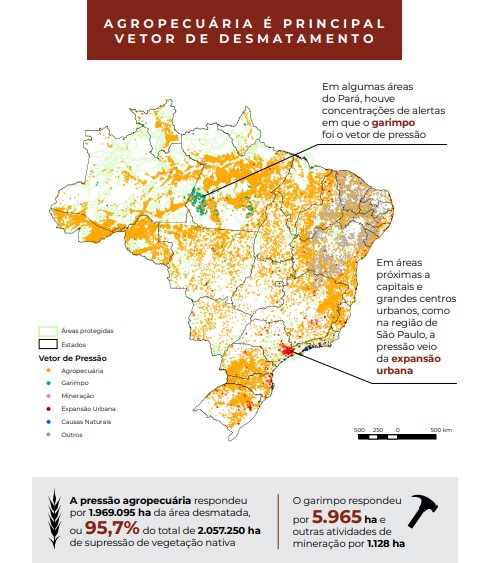 Infográfico dos vetores (causas) de desmatamento distribuídos ao longo dos biomas brasileiros em 2022. Fonte: RAD2022 MapBiomas