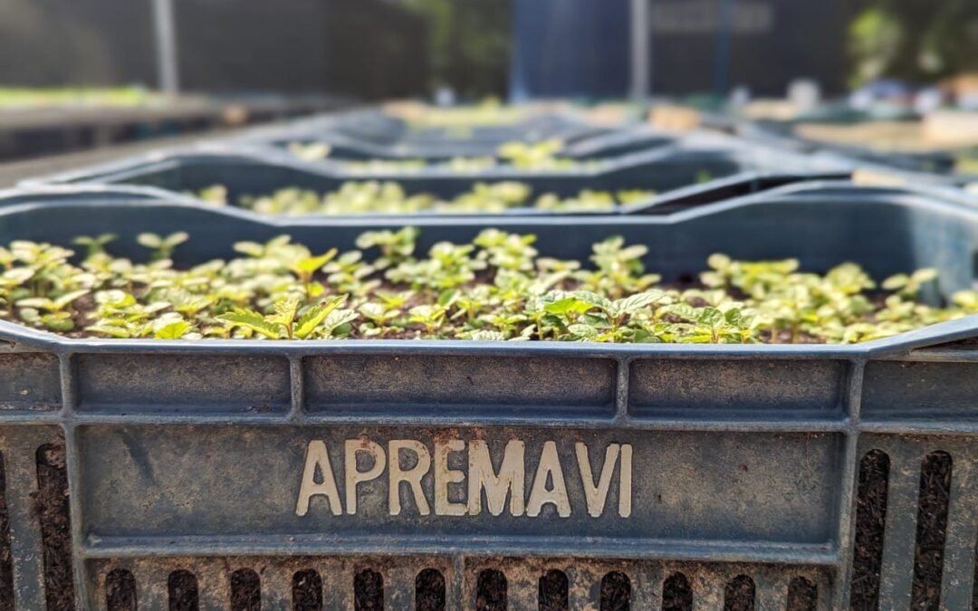 Assembleia elege nova Diretoria da Apremavi