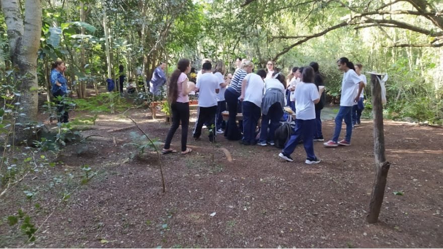 Matas Legais restaura propriedade e inspira futuras gerações