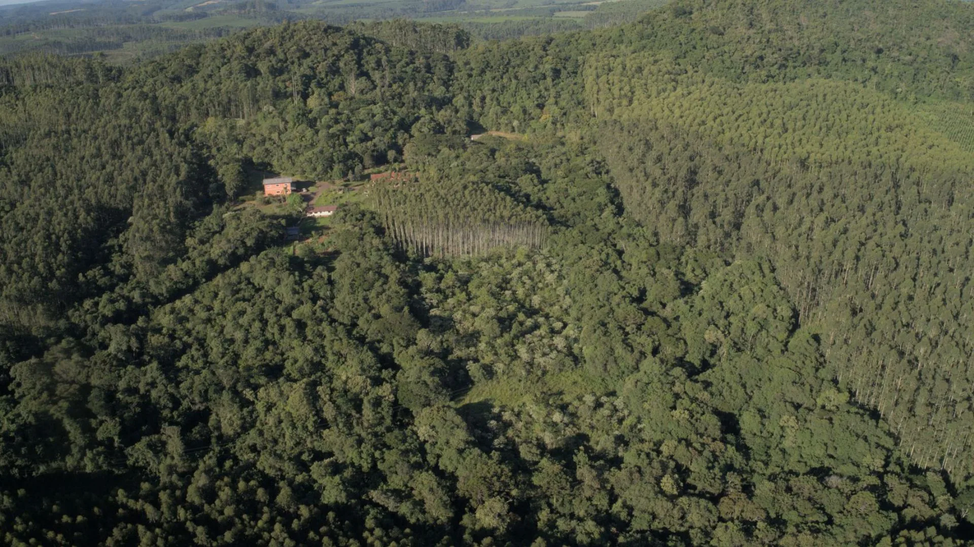 capa matas legais Propriedade Sustentável vista de cima