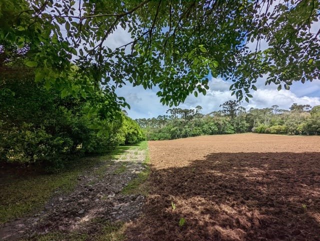 Propriedade Legal・Código Florestal na Prática