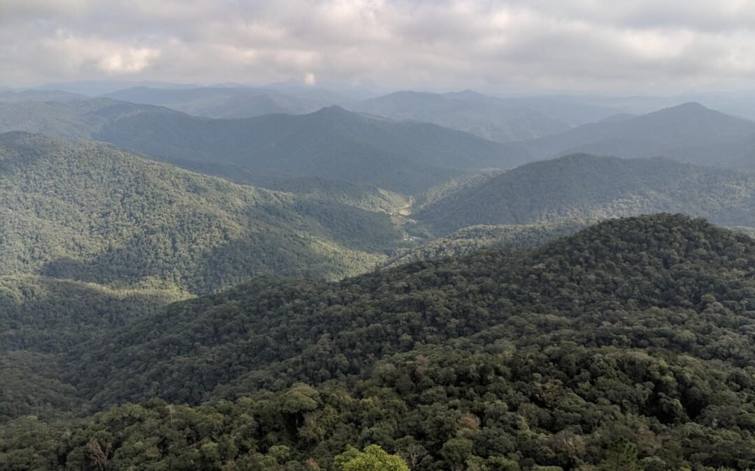 Unidades de Conservação cobrem menos de 10% da Mata Atlântica