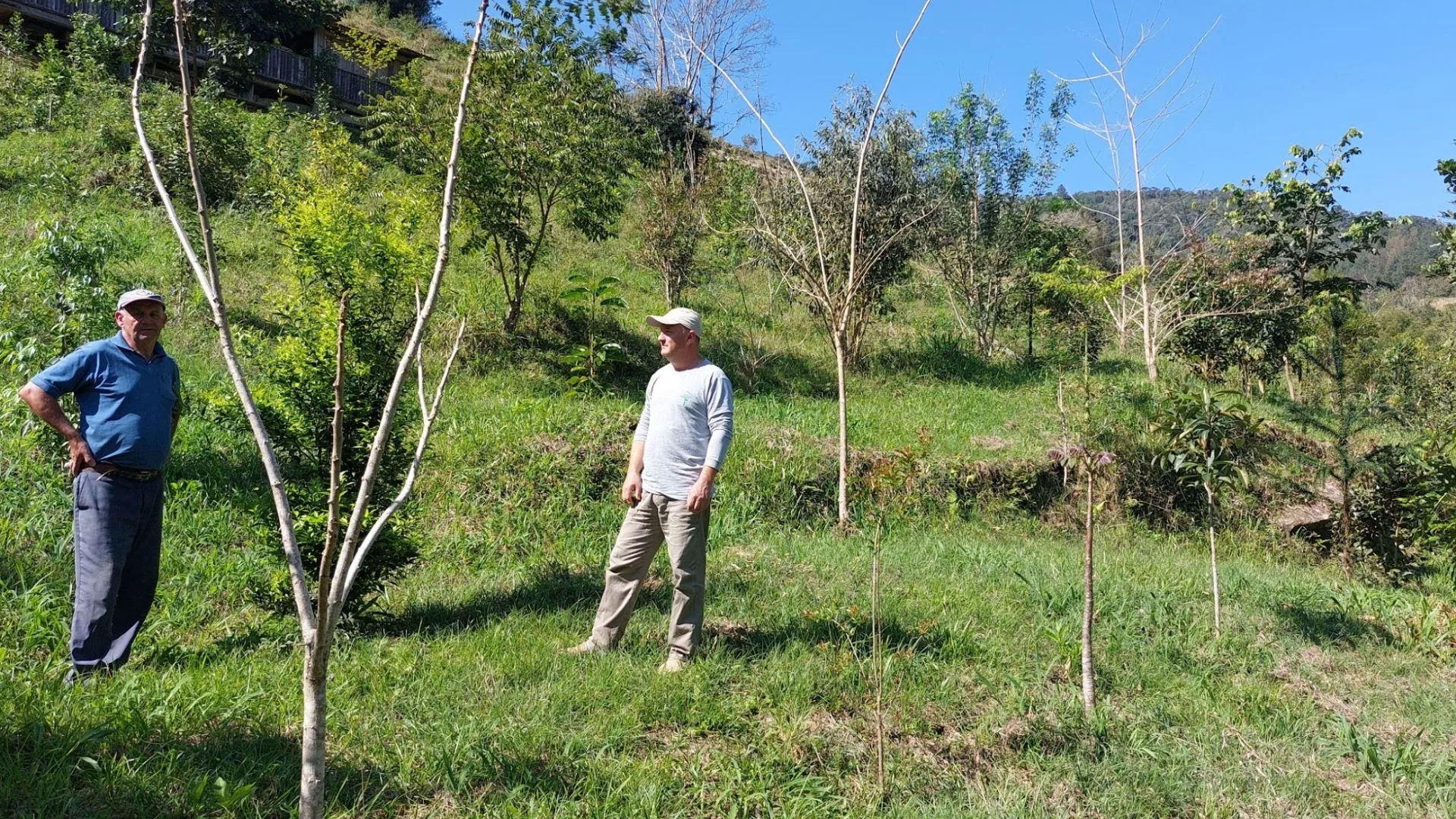 Implantação do Código Florestal em Itaiaópolis