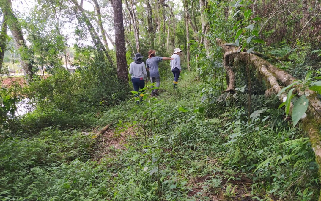 Apremavi e parceiros avançam no monitoramento da restauração ecológica