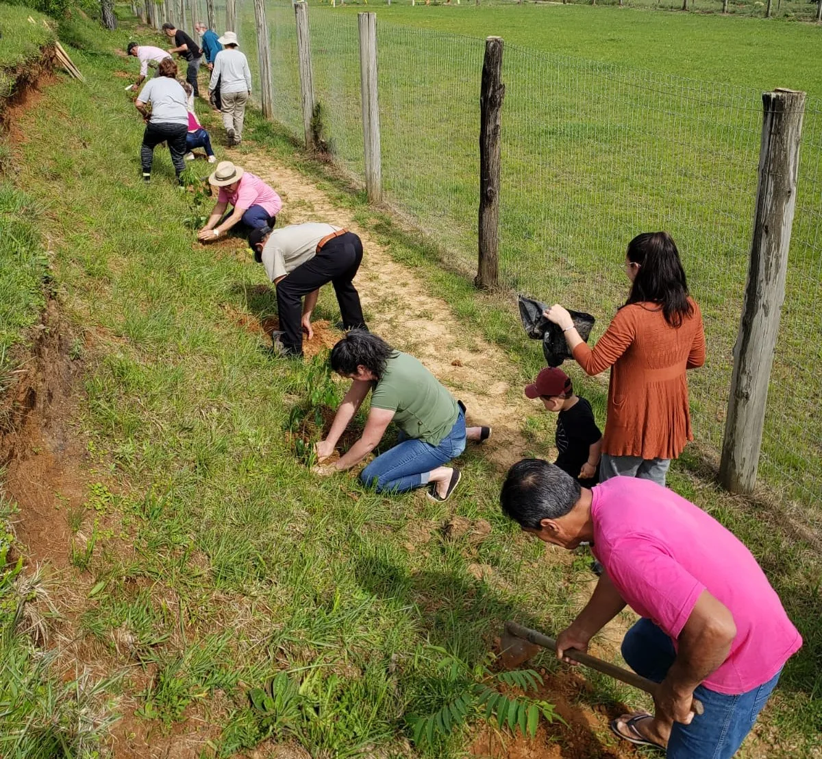 Plantio em Ponte Alta (SC) em parceria com a Epagri. Foto: Arquivo Apremavi