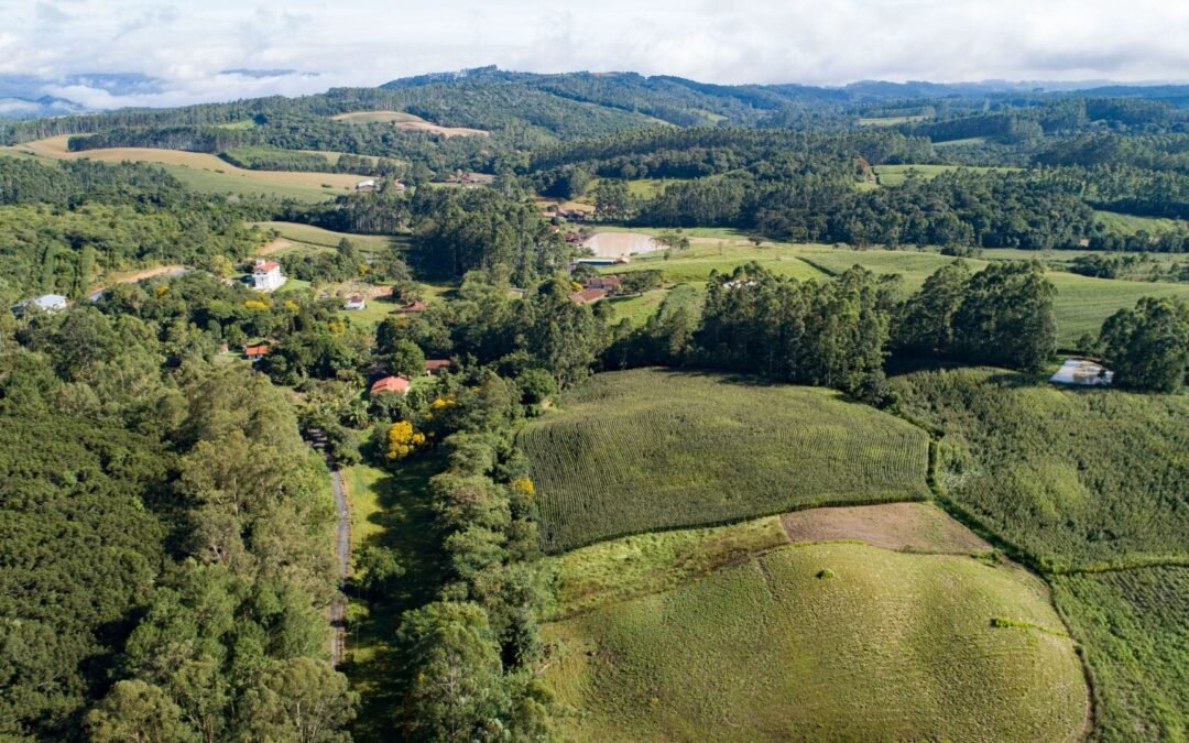 Novo decreto do Governo Federal cria diretoria do Cadastro Ambiental Rural (CAR), por OCF