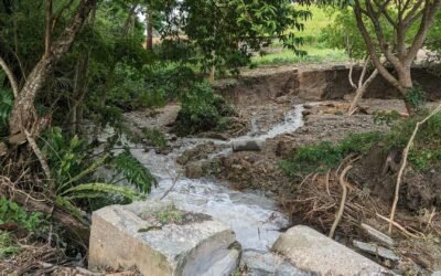 Já sentimos o El Niño: chuvas reforçam urgência de investir em prevenção e adaptação climática