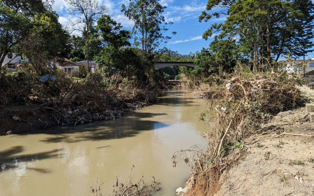 COP28: serão os acordos suficientes para salvar um planeta em ebulição?