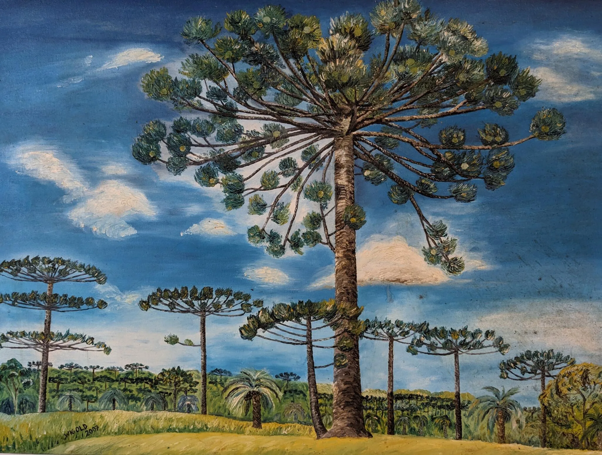 Obra “Araucárias na Paisagem” por Wigold Schäffer, 2007