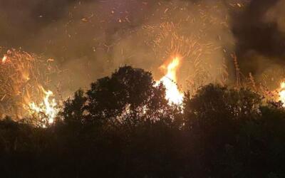 Incêndios no Parque do Tabuleiro dizimam 230 hectares em 2023