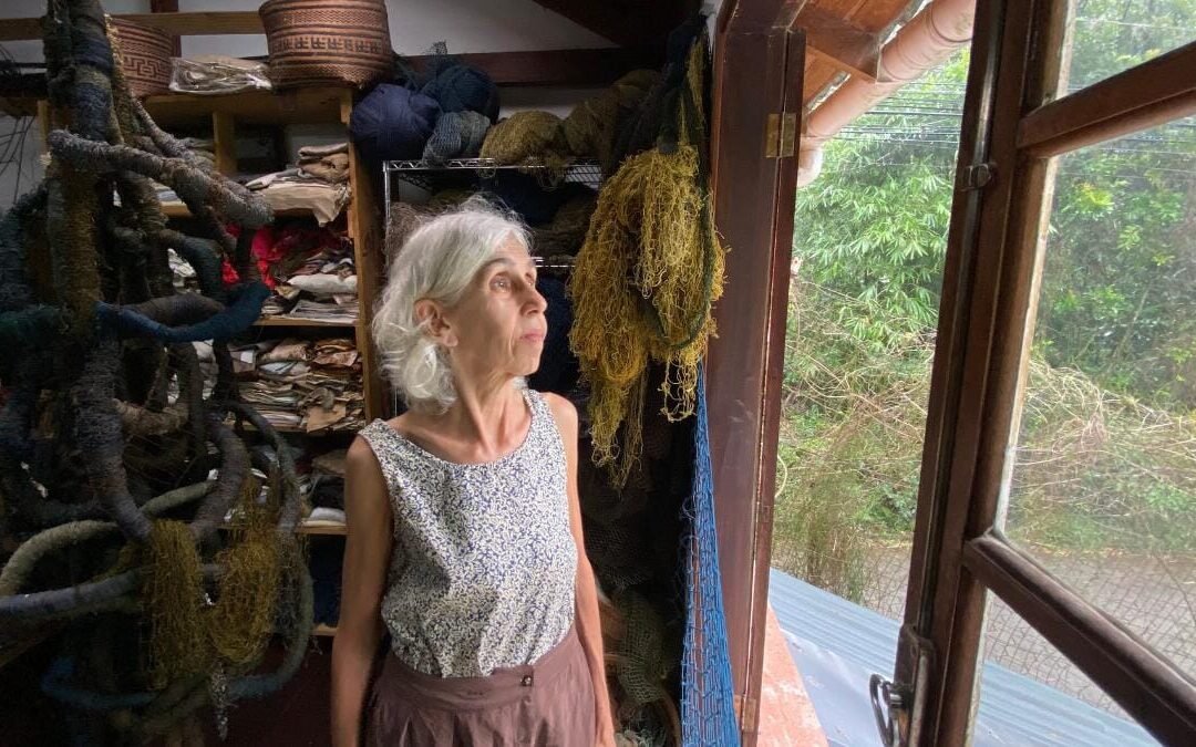 Tecendo, criando e plantando mudanças: redes e artivismo de Nara Guichon