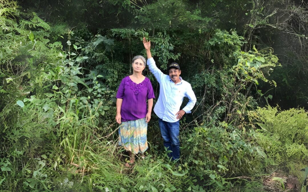 A Reserva Legal nos assentamentos da reforma agrária ・Código Florestal na Prática