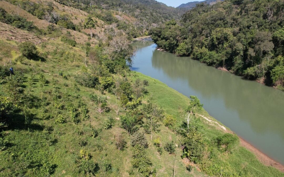 Termômetro do Código Florestal mostra que a sua implementação ainda é um desafio