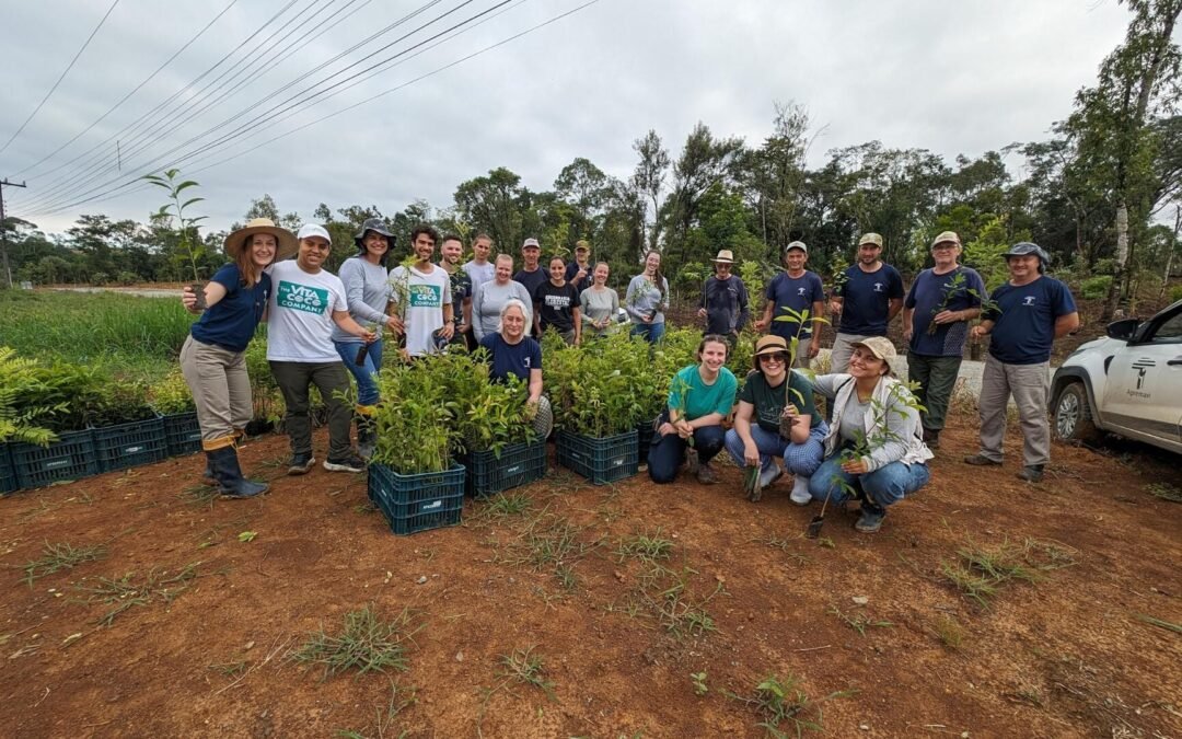 Apremavi e The Vita Coco Company restauram áreas do Parque Mata Atlântica
