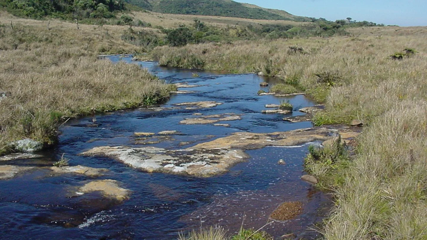 Santa Catarina já tem seu Corredor Ecológico