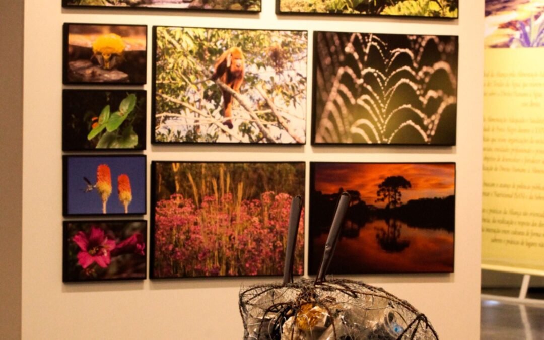 Belezas da Mata Atlântica: exposição da Apremavi chega na ALESC