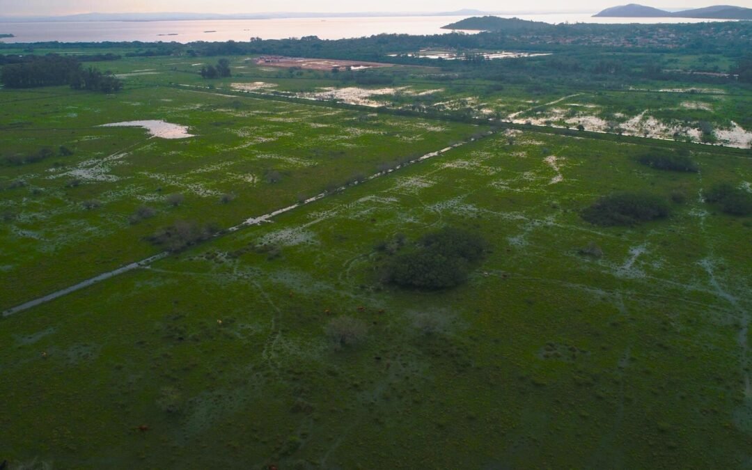 As Soluções Baseadas na Natureza na redução dos riscos de desastres climáticos