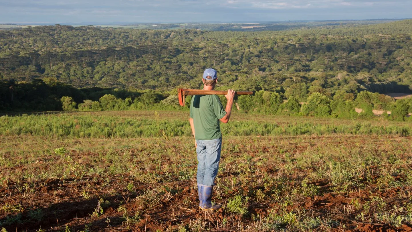 Santa Catarina já tem seu Corredor Ecológico