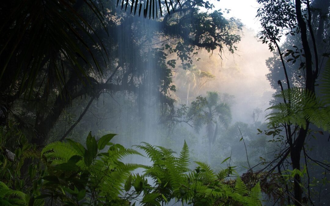 Revista científica publica levantamento da flora do Parque Mata Atlântica