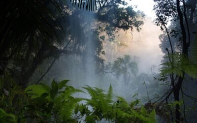 Revista científica publica levantamento da flora do Parque Mata Atlântica