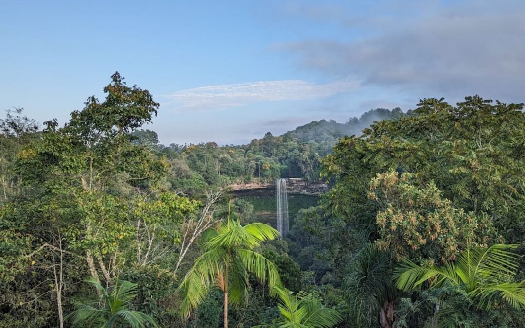 Parque Mata Atlântica vai renovar seu Conselho Consultivo
