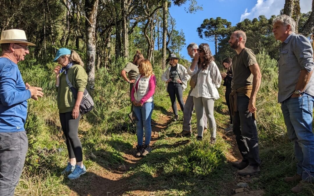 Turismo sustentável: um aliado do Conservador das Araucárias
